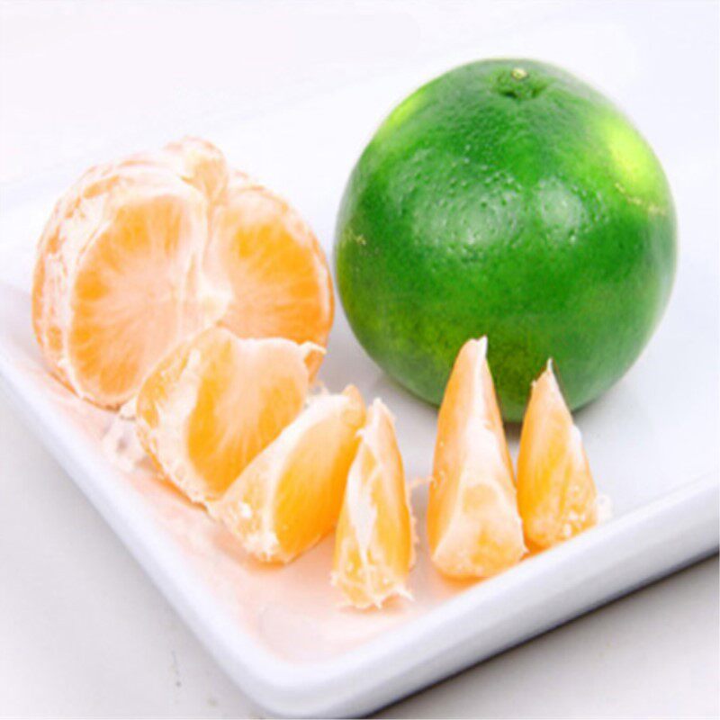 湖北农家菜园子的LOGO