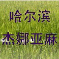 哈尔滨杰娜亚麻针织厂
