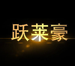 威尔顿进出口灯饰厂的LOGO