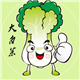 大白菜手机壳的LOGO