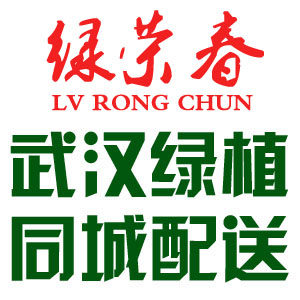 武汉绿荣春绿植到家企业店的LOGO