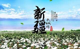 新疆优质长绒棉被店的LOGO