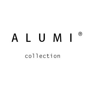 Alumi clothes shop的LOGO