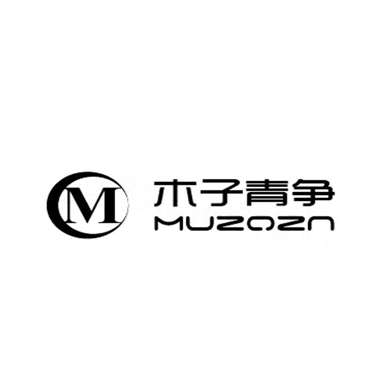 华视镜业
