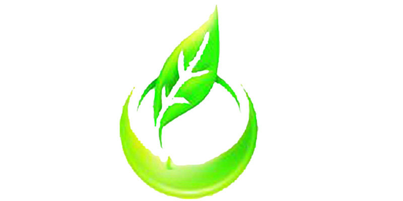 老白茶福鼎加工厂