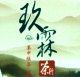 台湾玖霖茗茶高山茶