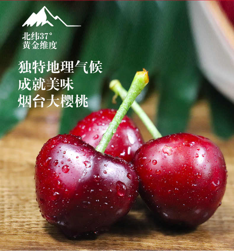 山东烟台 大樱桃园 果农店的LOGO