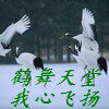 鹤天堂行销外贸童装欧美日外单尾货品牌撤柜