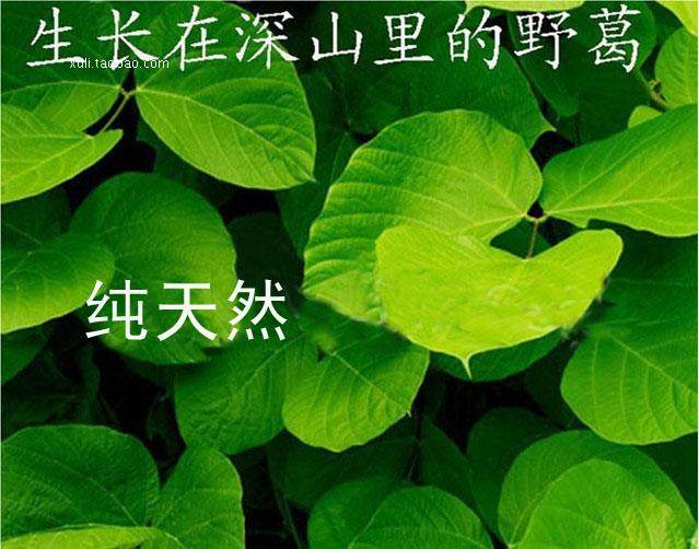 张家界土特产总店的LOGO
