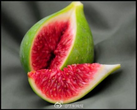 杉杉气大象家居精品优选