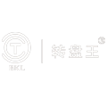 转盘王电动转盘