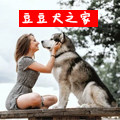 马犬毛豆的小店逗犬宠物店