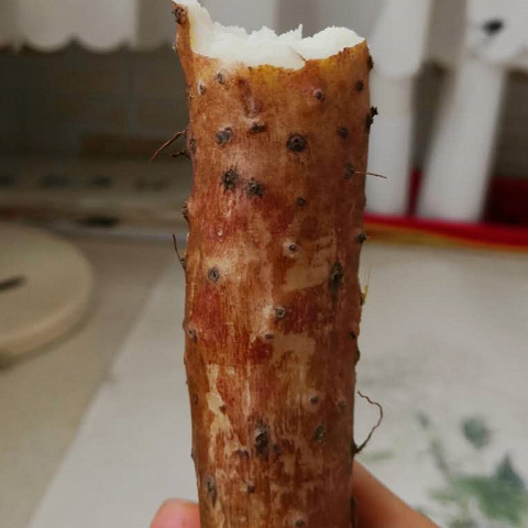 只有温县 古怀庆铁棍山药的LOGO