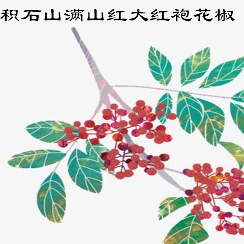 积石满山红特产店