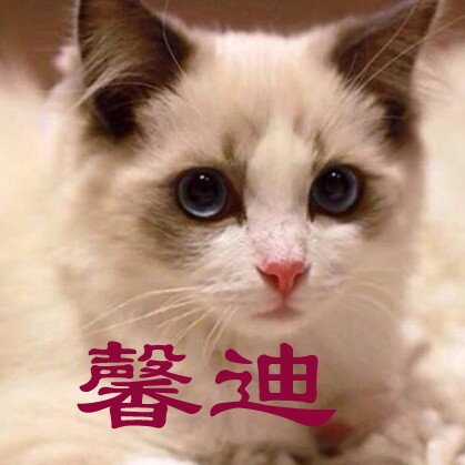 馨迪宠物用品店
