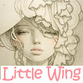 Little wing日系饰品