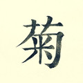 菊约书房
