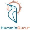 HumminGuru黑胶护理官方店