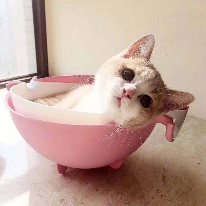 一千佳贵