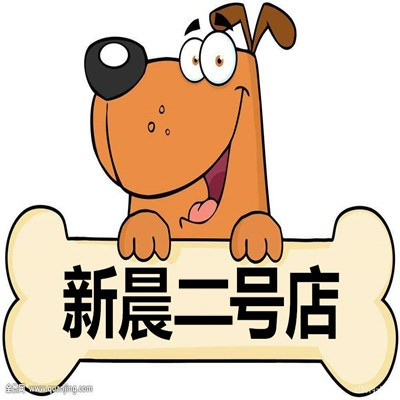 新晨汽车科技的LOGO