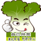 家绿美水培馆