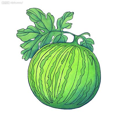 小瓜渔具户外