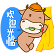 1号网购店