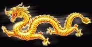 隆盛进口车灯