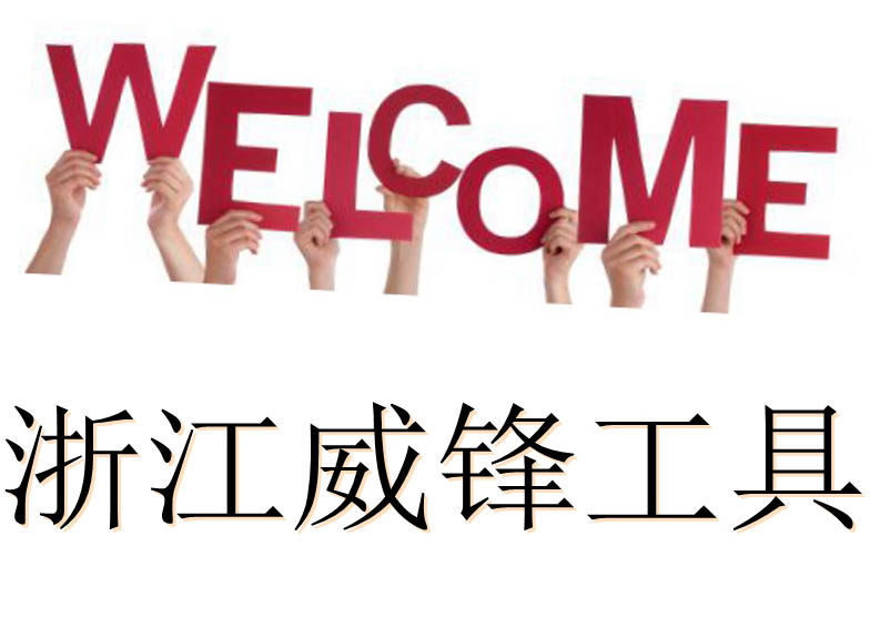 浙江威锋工具的LOGO