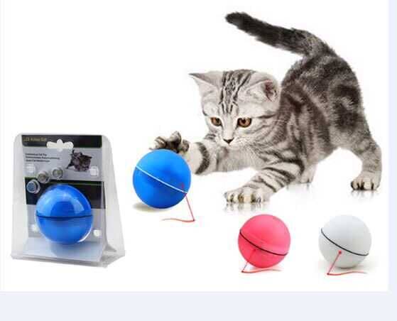你宠我宠宠物用品