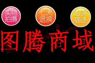 图腾电子厂
