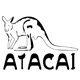 atacai箱包旗舰店