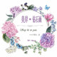 芯美钻石画企业店