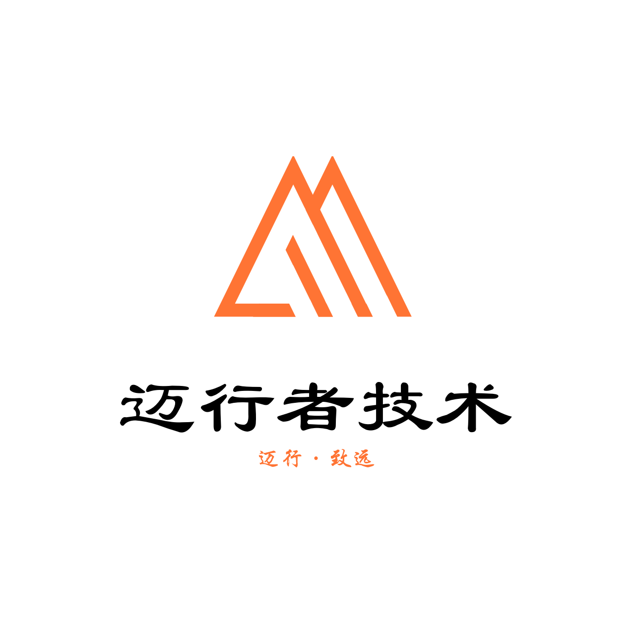迈行者技术企业店
