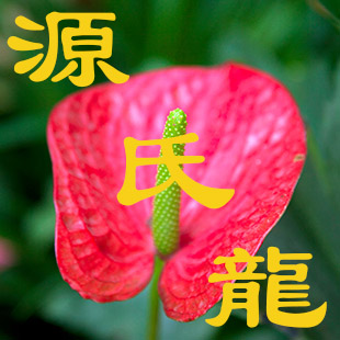 源氏龙皮具