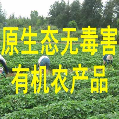 无毒害有机农产品