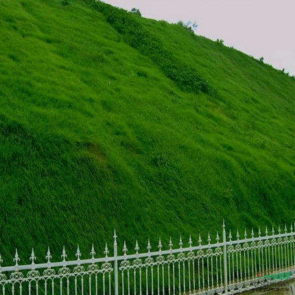 惠农种业连锁店