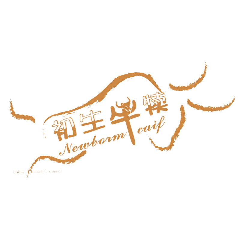 将心皮具