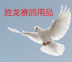 胜龙赛鸽用品的LOGO