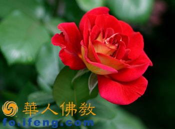 海纳电脑数码小小店