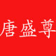 唐盛尊旗舰店的LOGO
