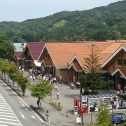大脸猫品牌甄选店