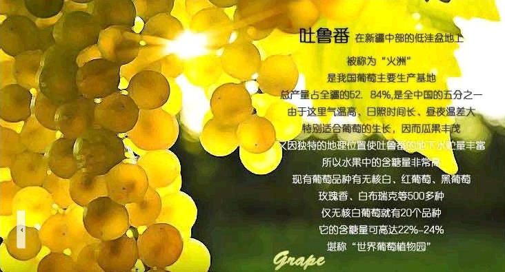 小农哥阿牧
