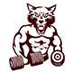 Fitness Wolf官方店
