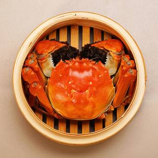 蟹童子阳澄湖大闸蟹的LOGO