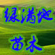 山东绿满地苗木基地