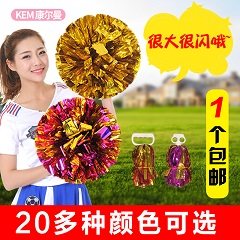 丽康工艺花球