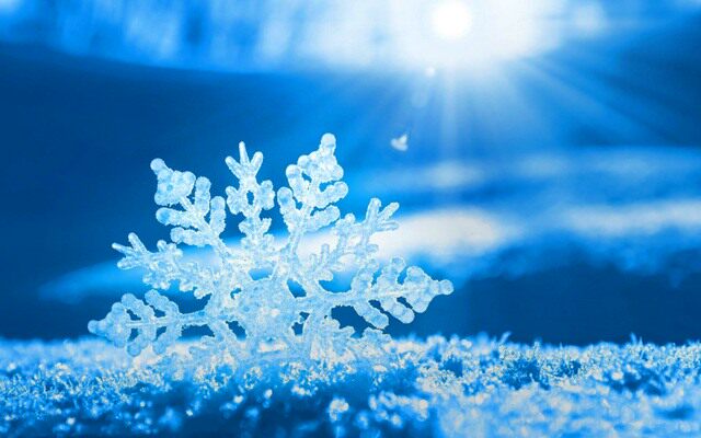 爱在雪花盛开的时候