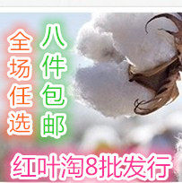 红叶淘8内衣批发行