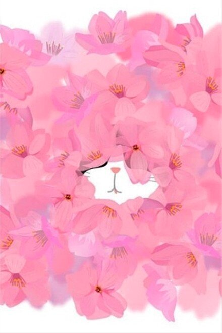 花猫家袜子